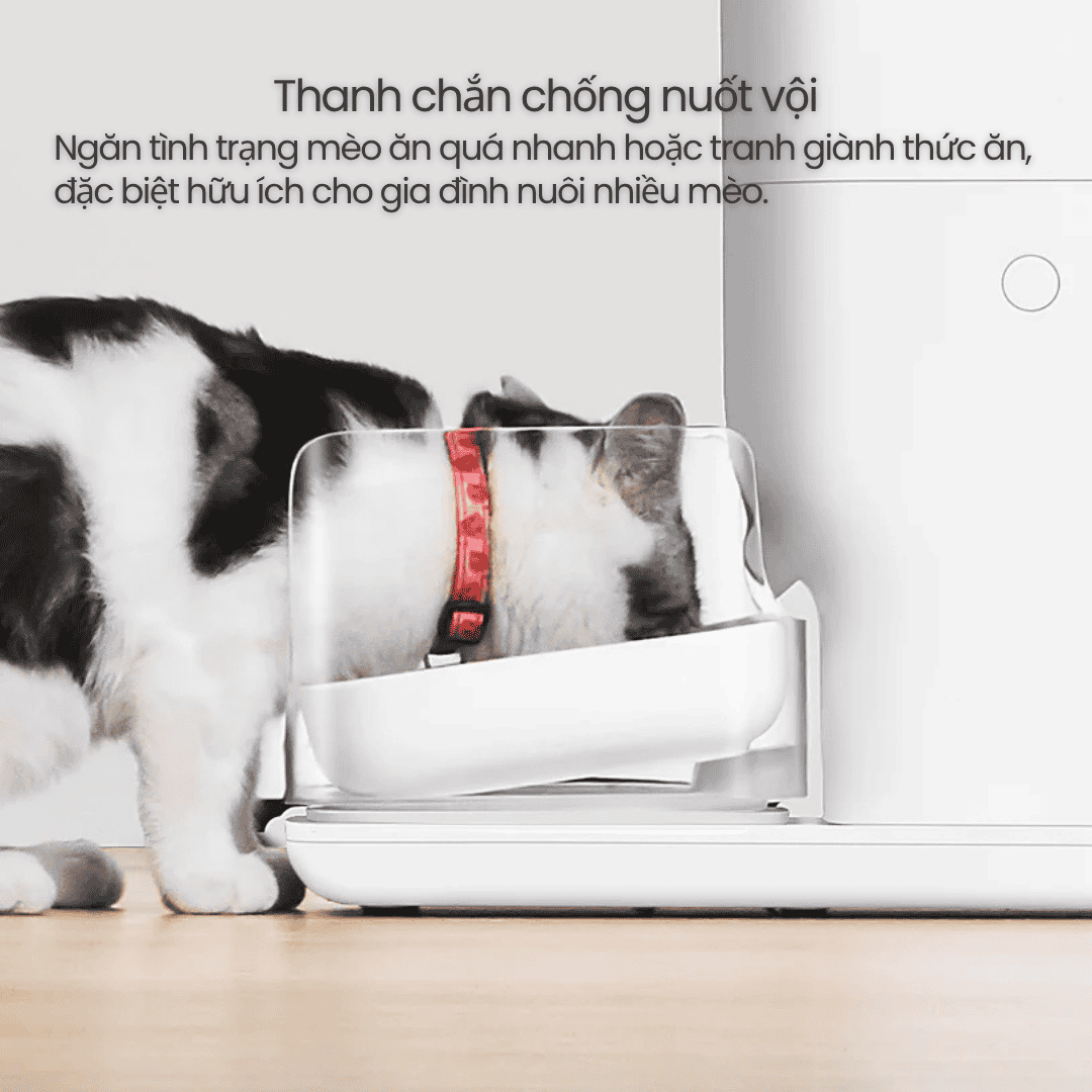 Catlink Rfid Fresh 2 – Máy Cho Mèo Ăn Tự Động
