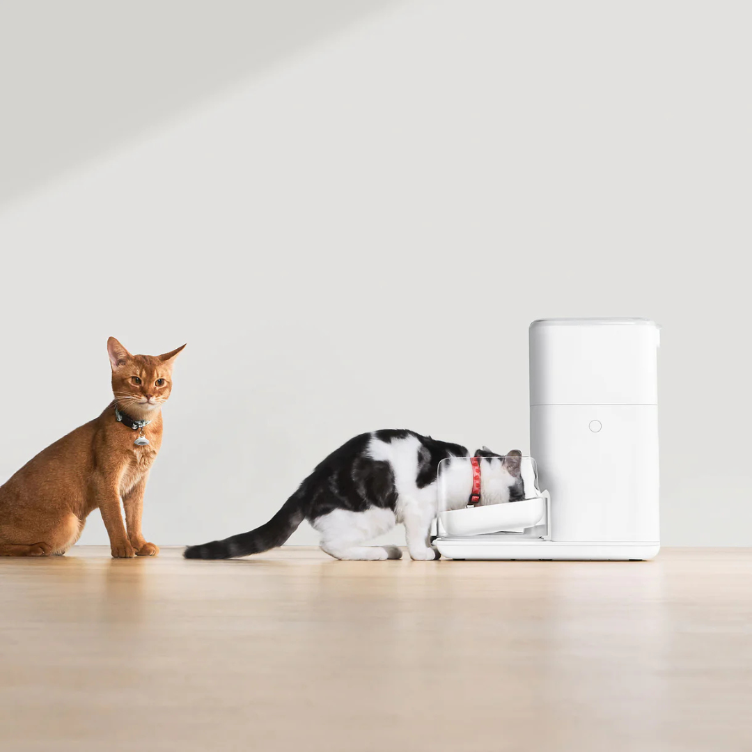 Catlink Rfid Fresh 2 – Máy Cho Mèo Ăn Tự Động
