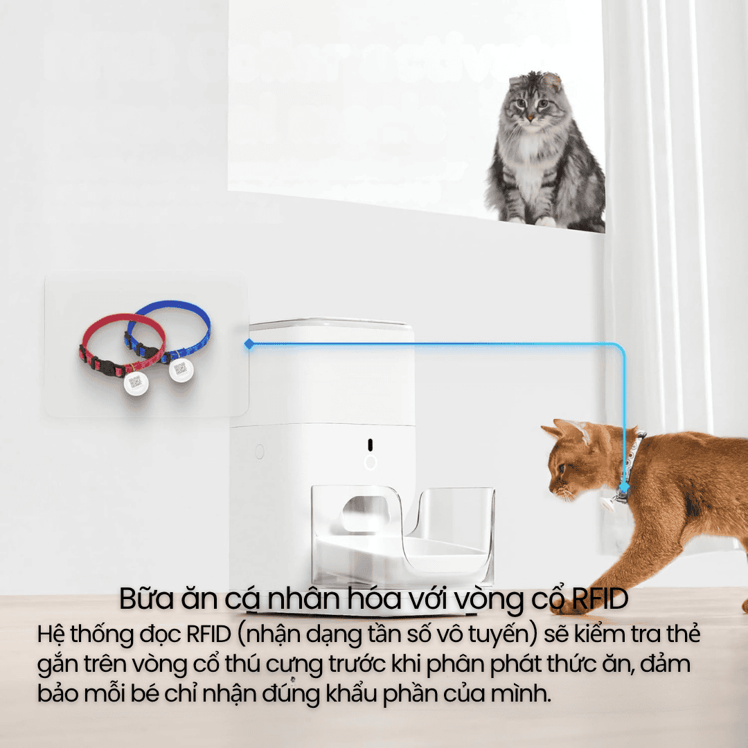 Catlink Rfid Fresh 2 – Máy Cho Mèo Ăn Tự Động