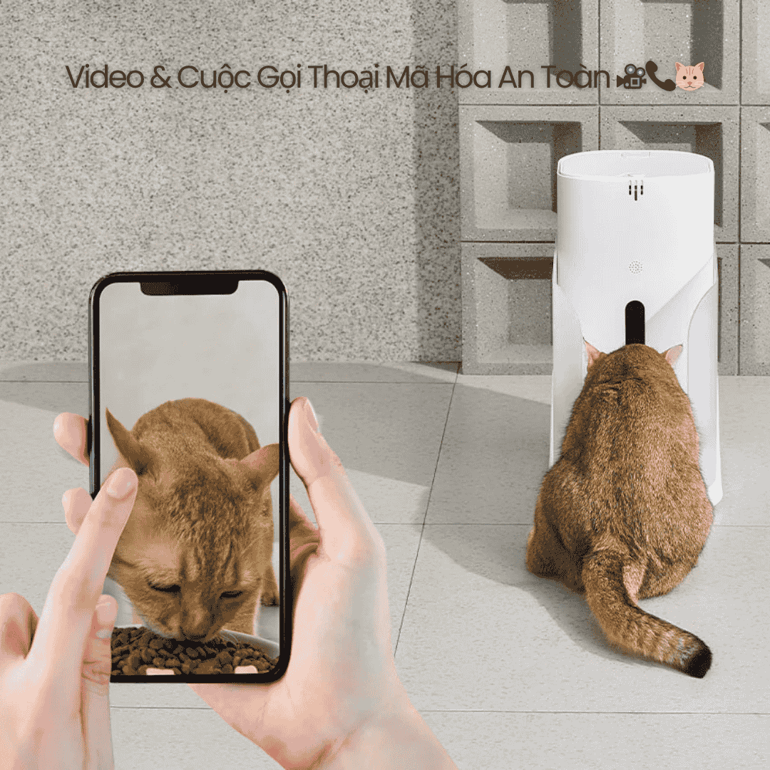 Catlink Facelink