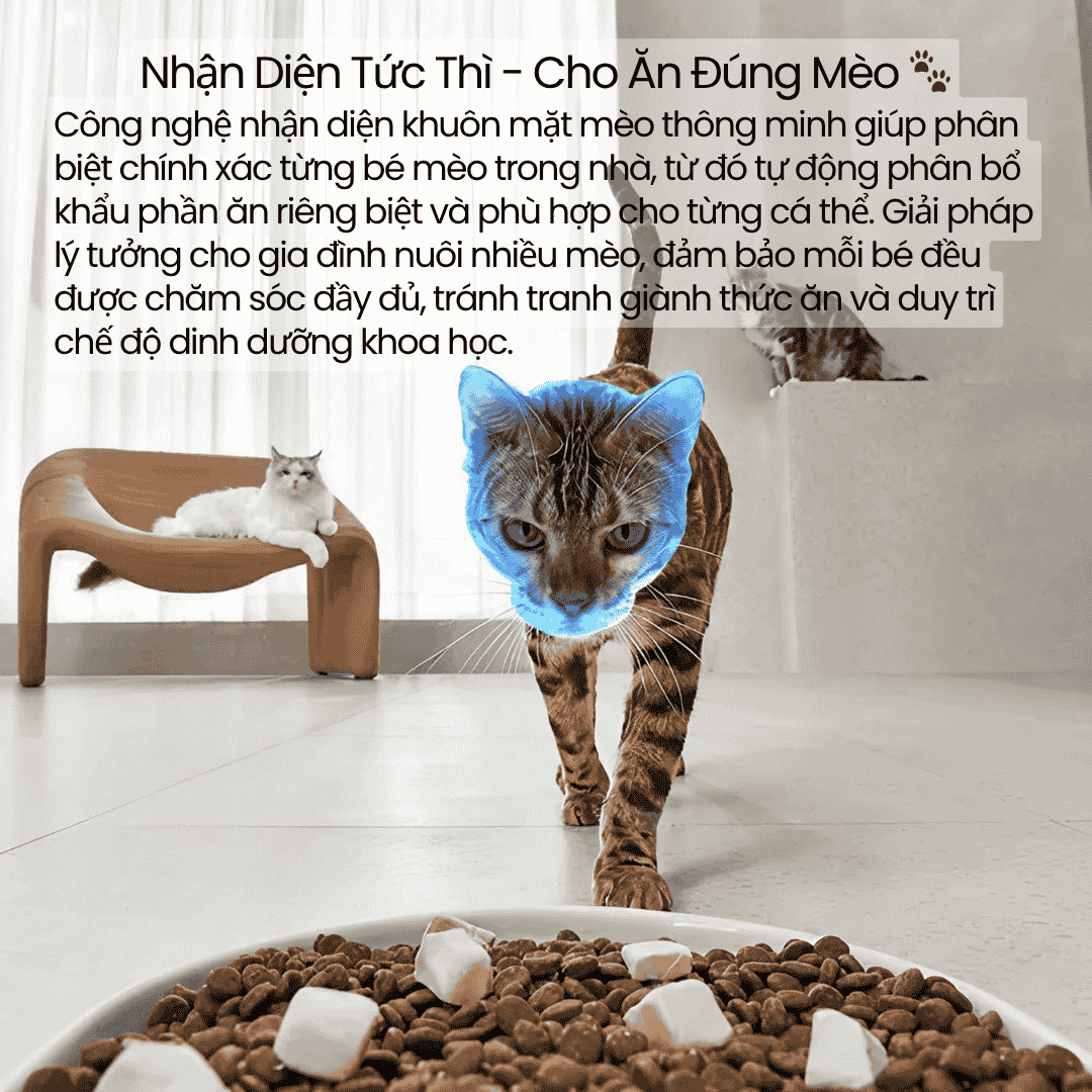 Catlink Facelink