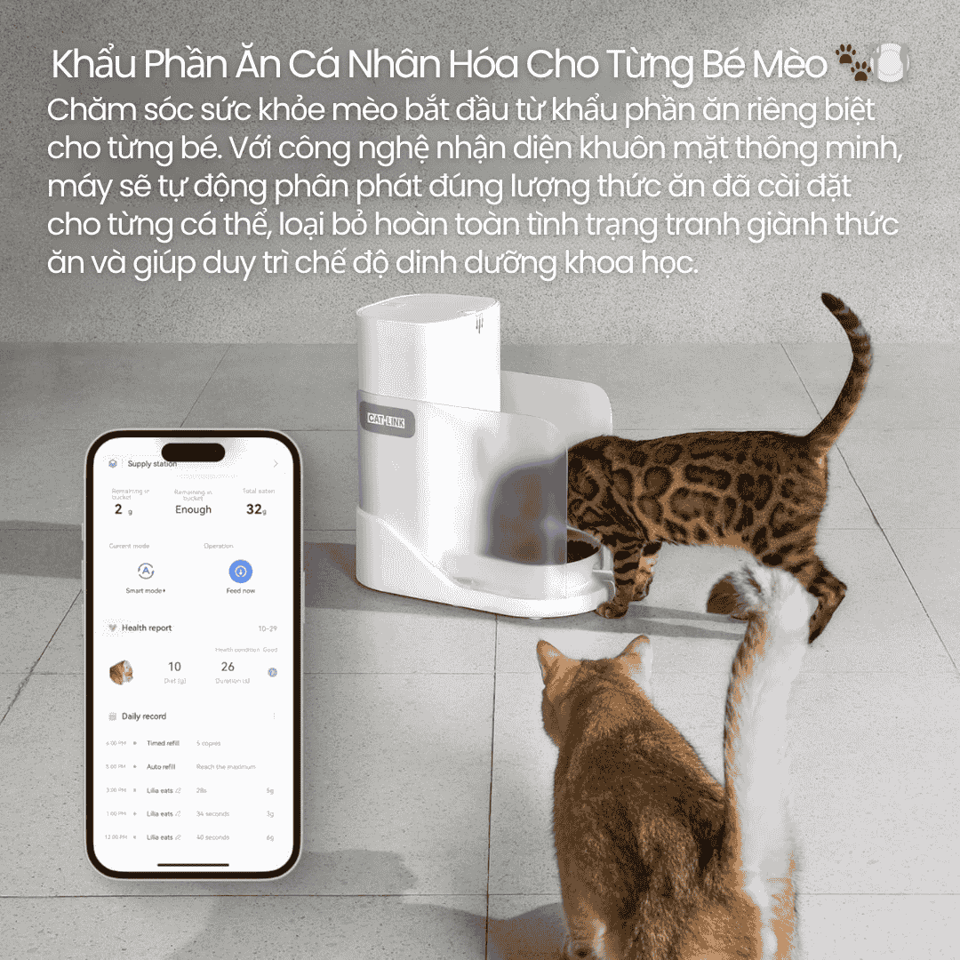 Catlink Facelink