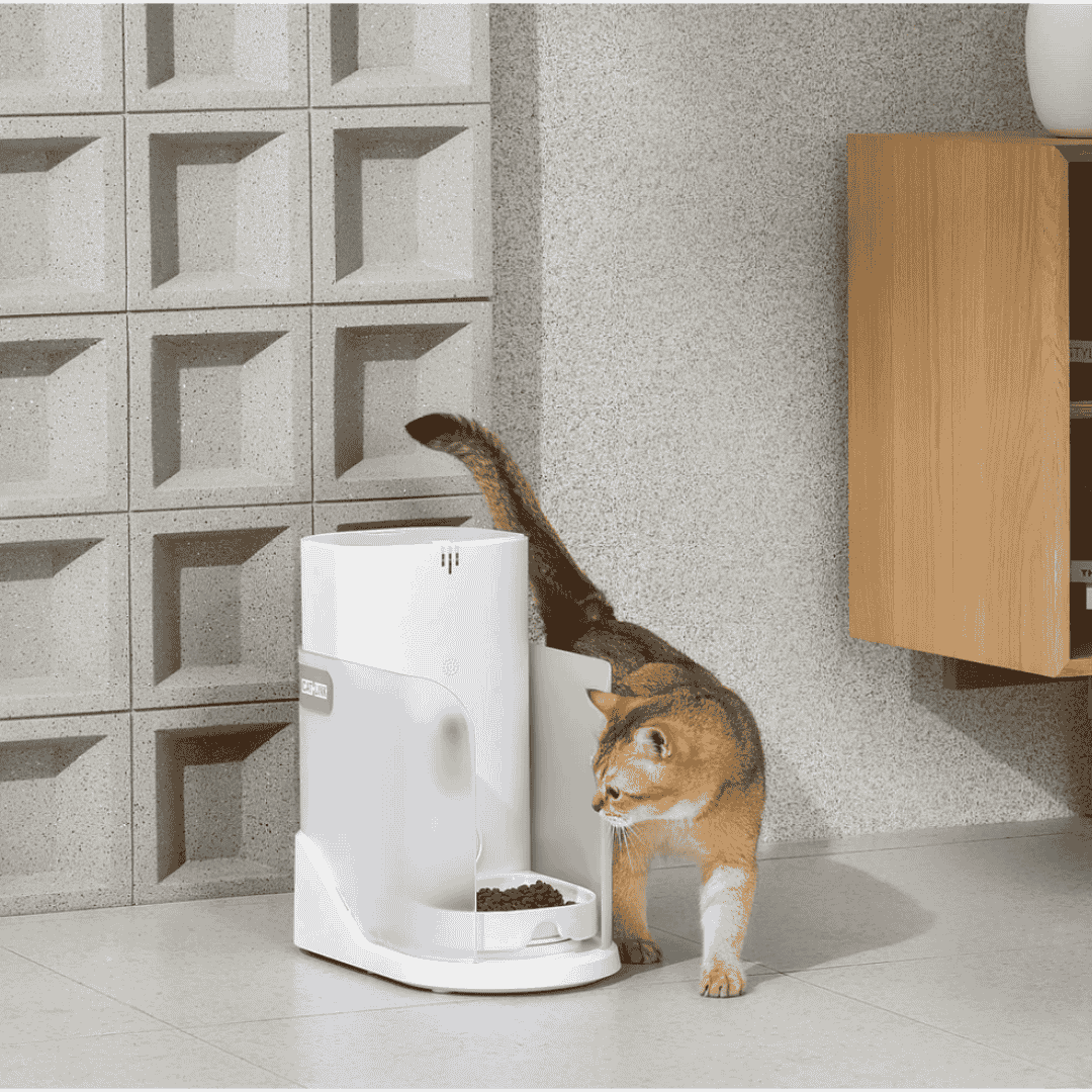 Catlink Facelink