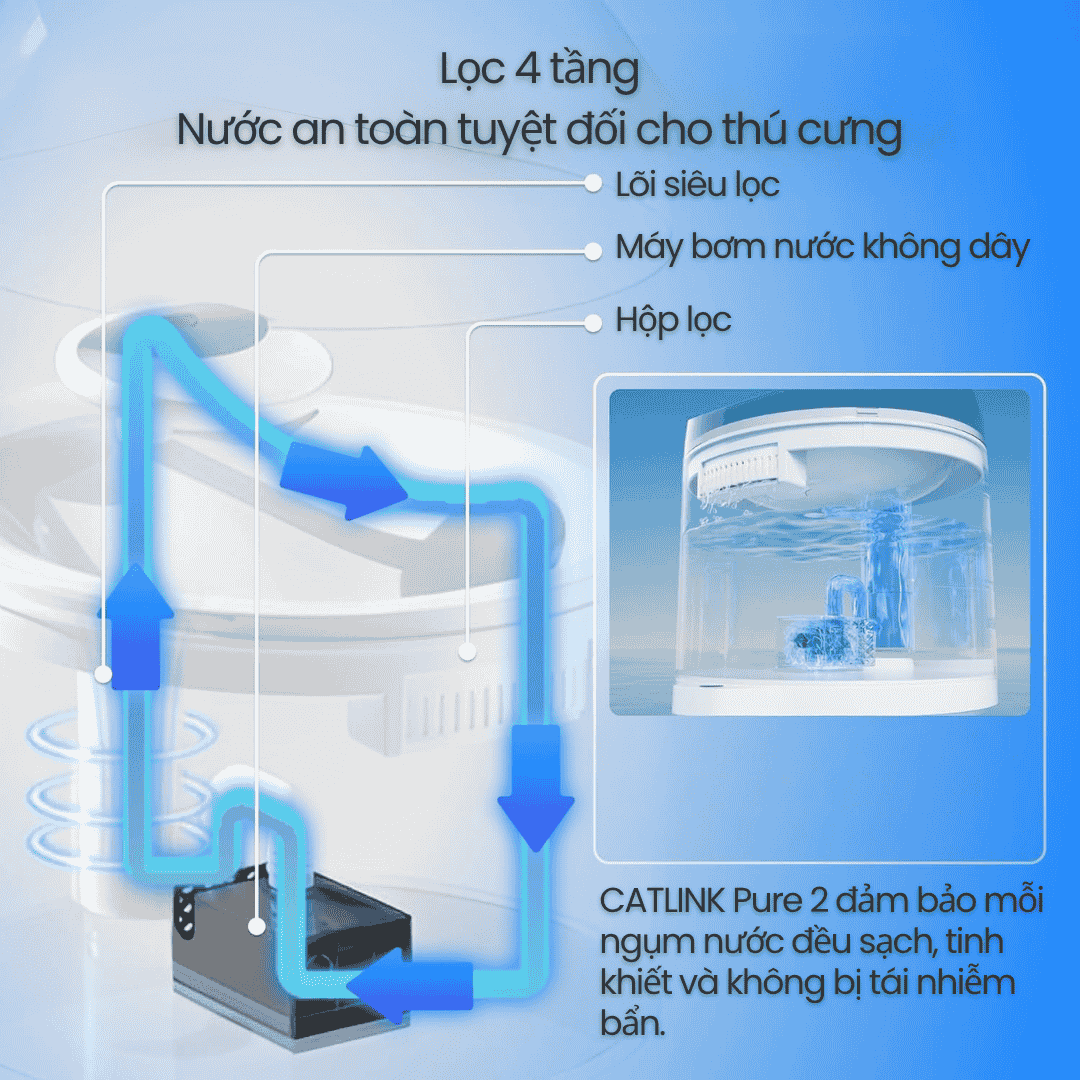Catlink Pure 2 - Máy Cấp Nước Tự Động Cho Mèo
