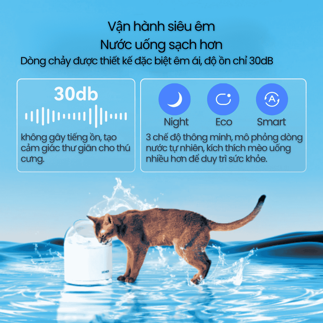 Catlink Pure 2 - Máy Cấp Nước Tự Động Cho Mèo