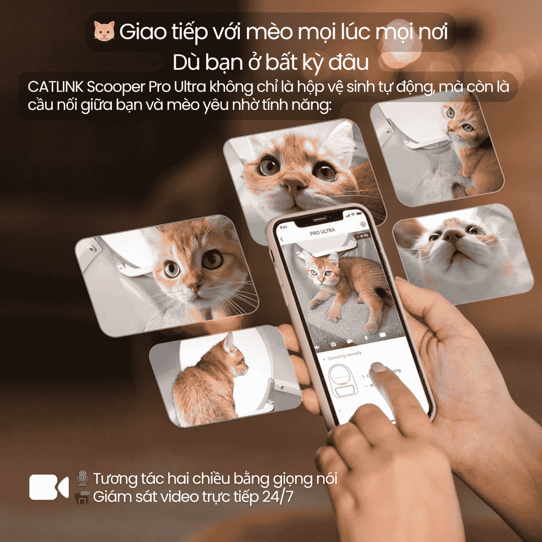 CATLINK AI 5GHz - Scooper Pro Ultra