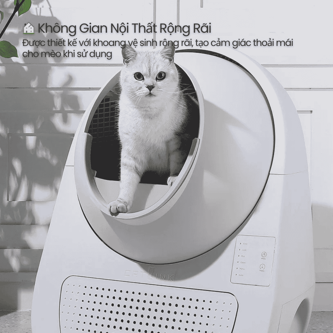 Catlink Scooper Young Pro‑X