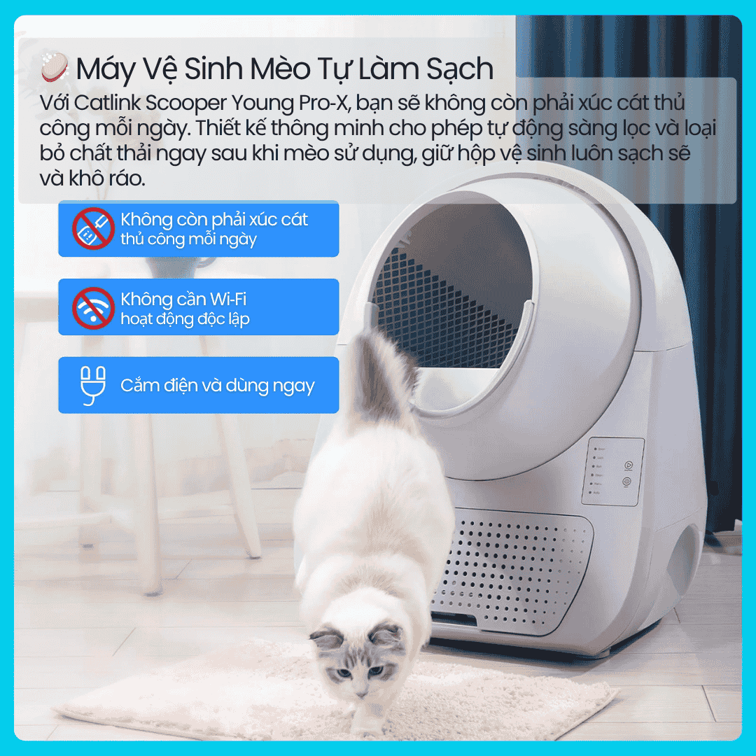 Catlink Scooper Young Pro‑X
