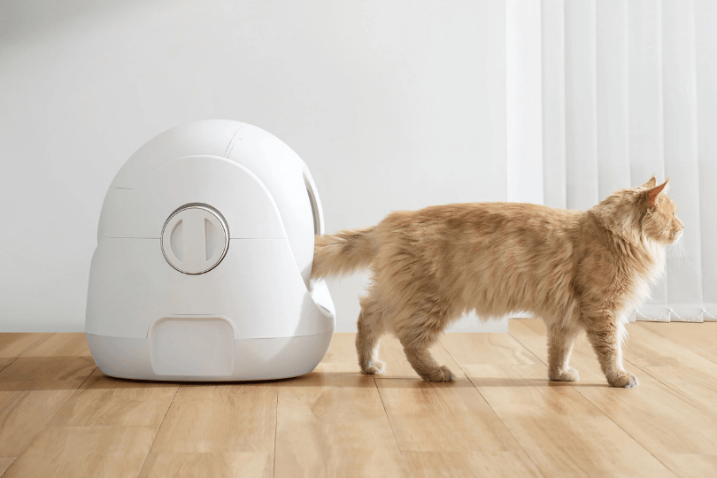 Catlink Scooper SE