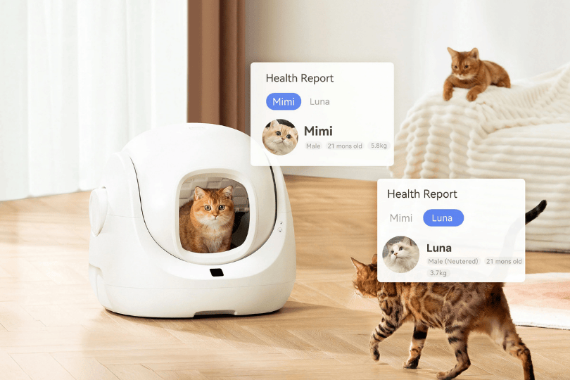 Catlink Scooper SE