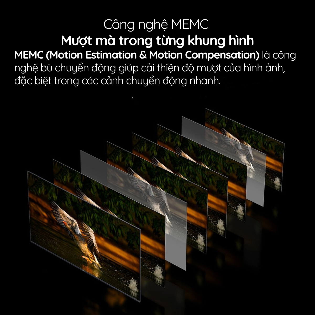 MEMC - Chuyển động mượt mà, không giật