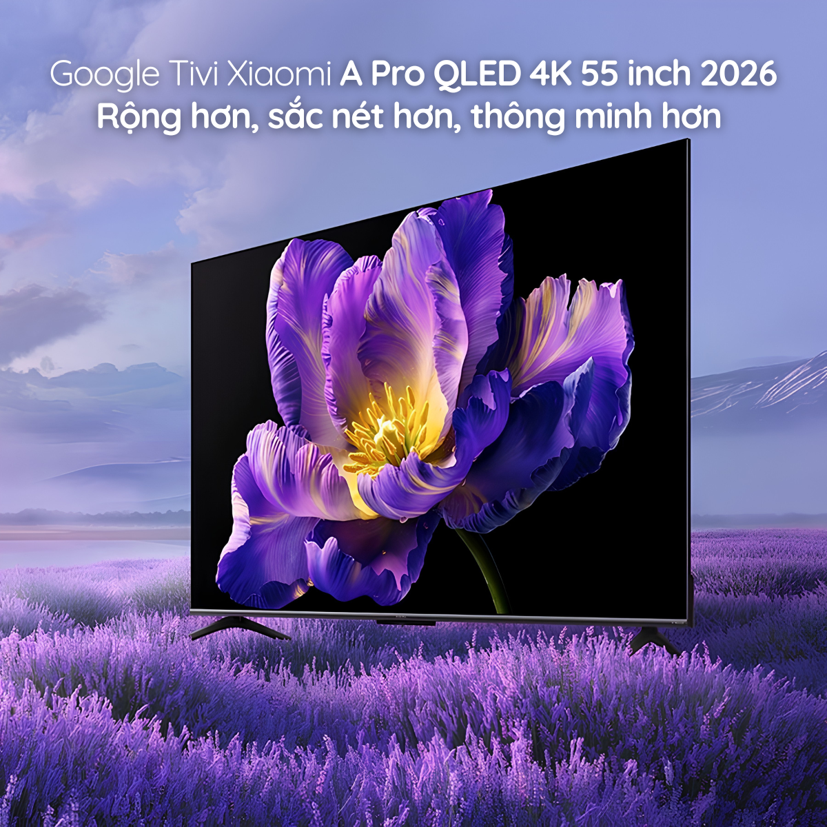 Xiaomi TV A Pro QLED 55 2026 – Smart TV 4K QLED đáng mua nhất phân khúc
