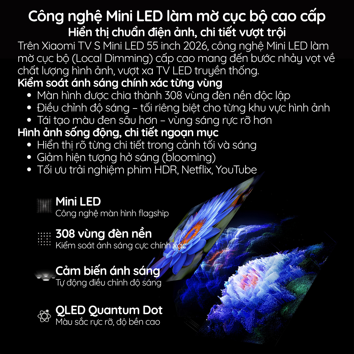 Công nghệ QD-Mini LED – Hình ảnh vượt trội