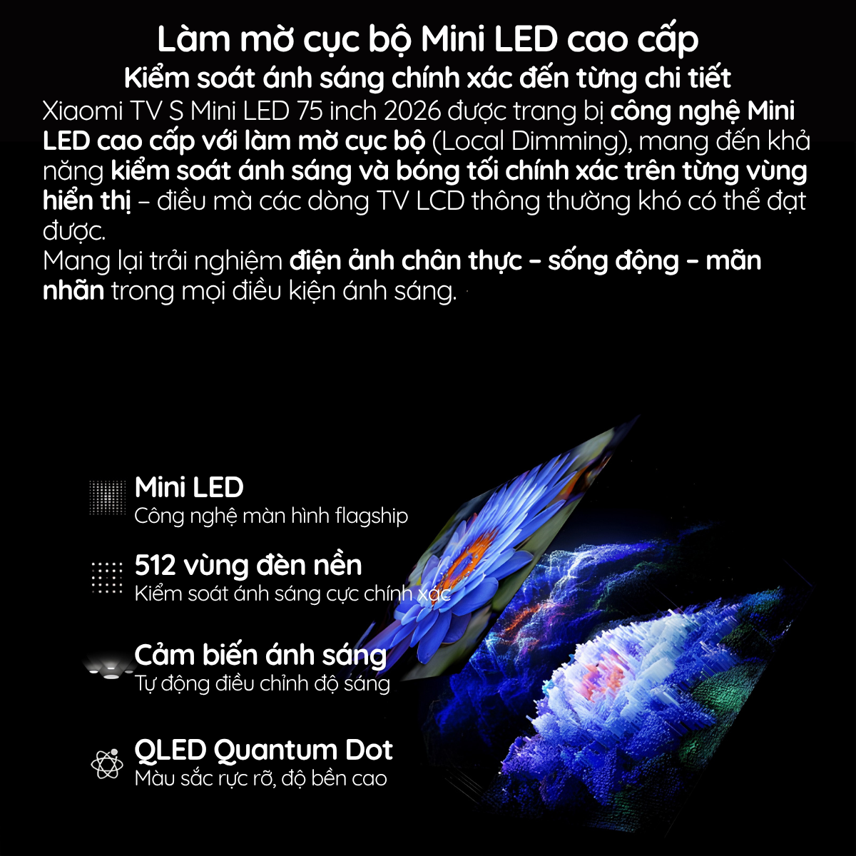 Công nghệ QD-Mini LED – Nâng tầm chất lượng hình ảnh